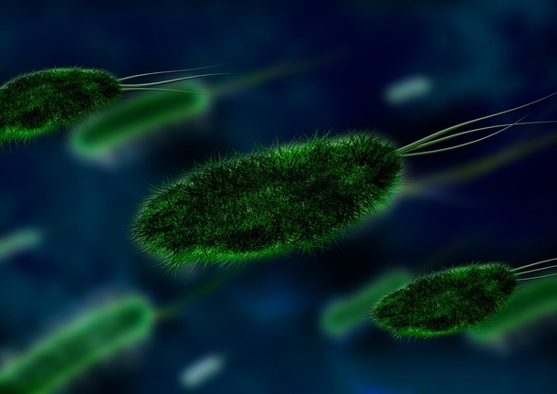 This Recent Outbreak Spreading Across The Country Has Scientists Warning Everyone To Stay Away From The Pool - picture 2