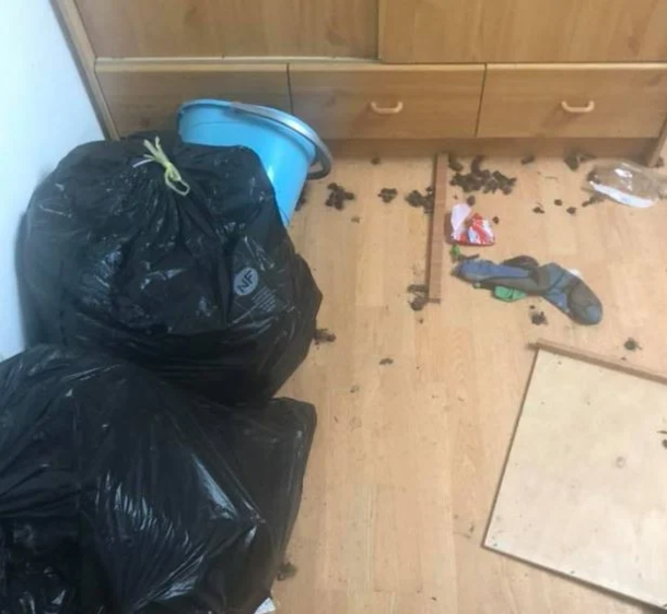 This rental property was a disaster so landlord teaches rude tenants a valuable lesson - picture 8