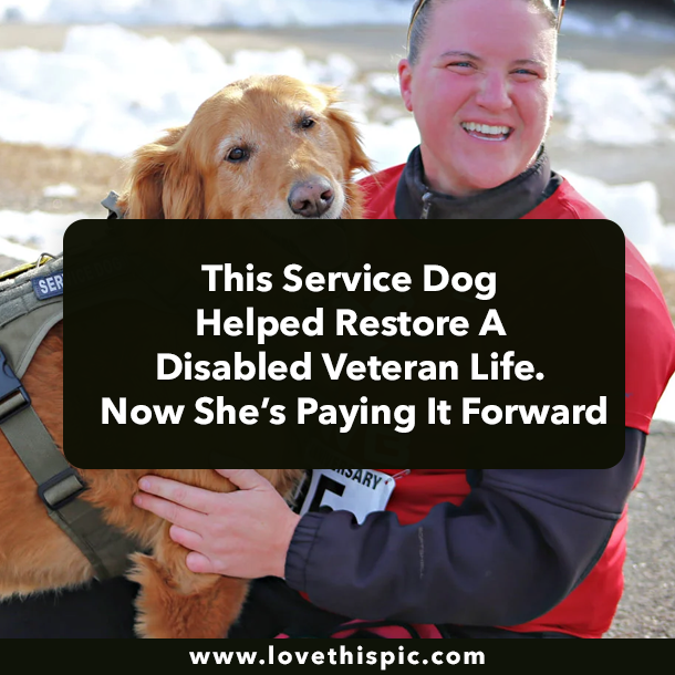 This Service Dog Helped Restore A Disabled Veteran Life. Now She’s Paying It Forward