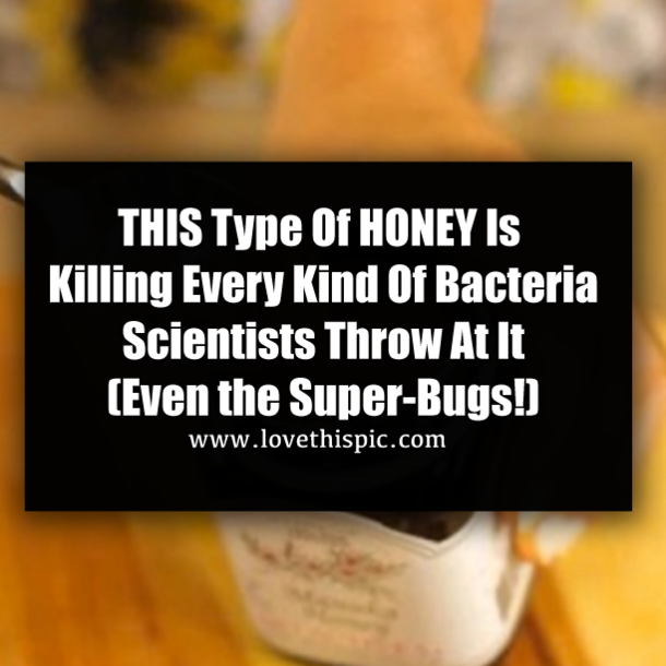 THIS Type Of HONEY Is Killing Every Kind Of Bacteria Scientists Throw At It (Even the Super-Bugs!)