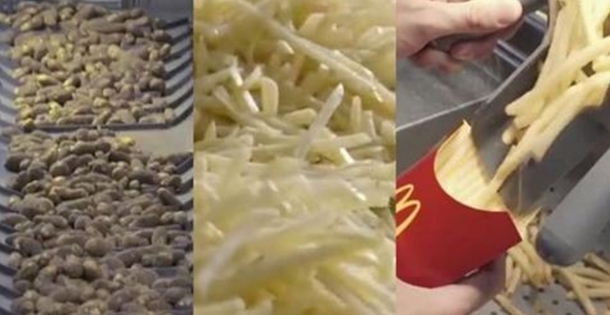 This Video Will Show You How McDonald’s French Fries Are Made, And Why You Should Never Eat Them - picture 2
