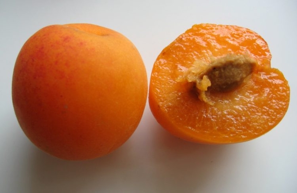 This Vitamin Kills Cancer But It Is ILLEGAL In The United States - picture 3