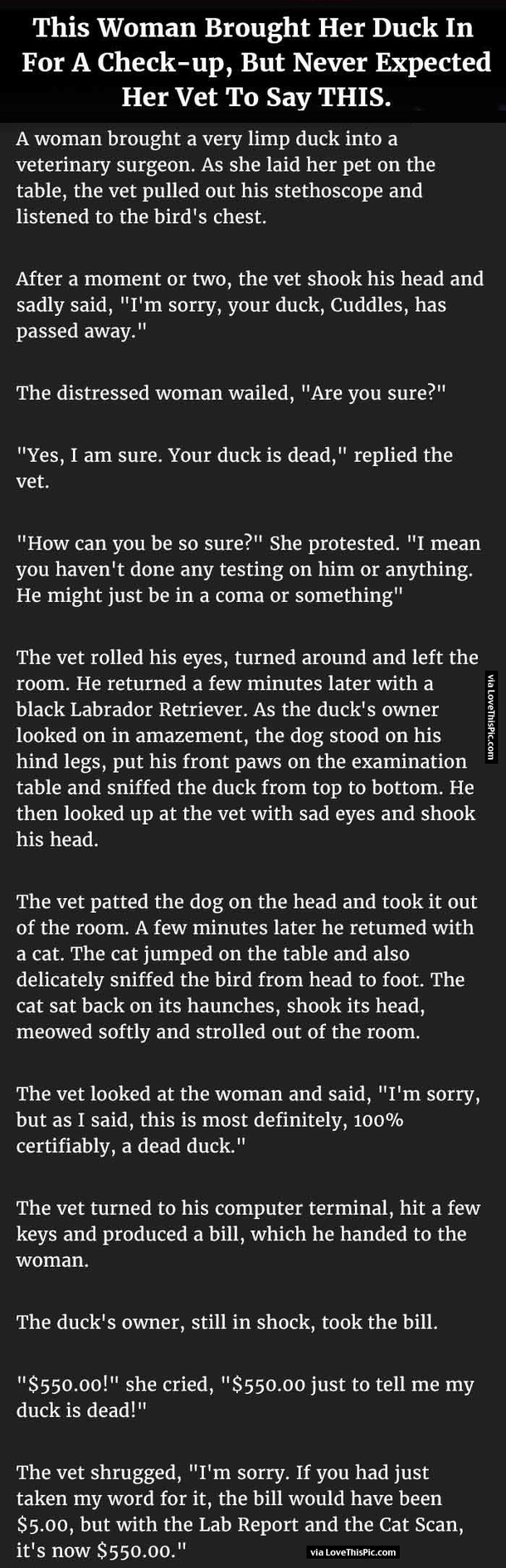 This Woman Brought Her Duck In For A Check-up But Never Expected Her Vet To Say This