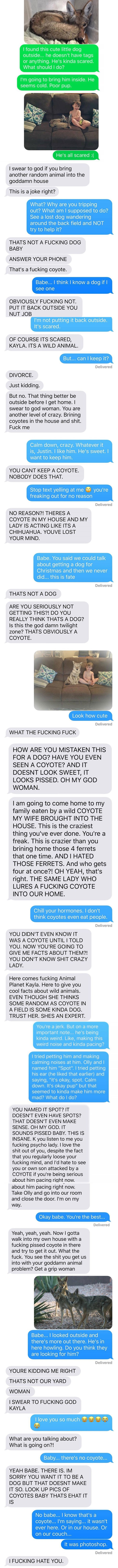 This Woman’s Coyote Prank On Her Husband Has Me In Tears Laughing - picture 2