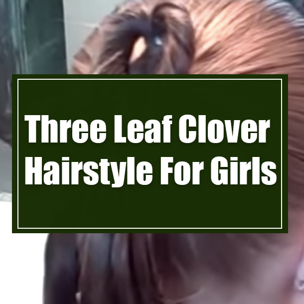 Three Leaf Clover Hairstyle For Girls