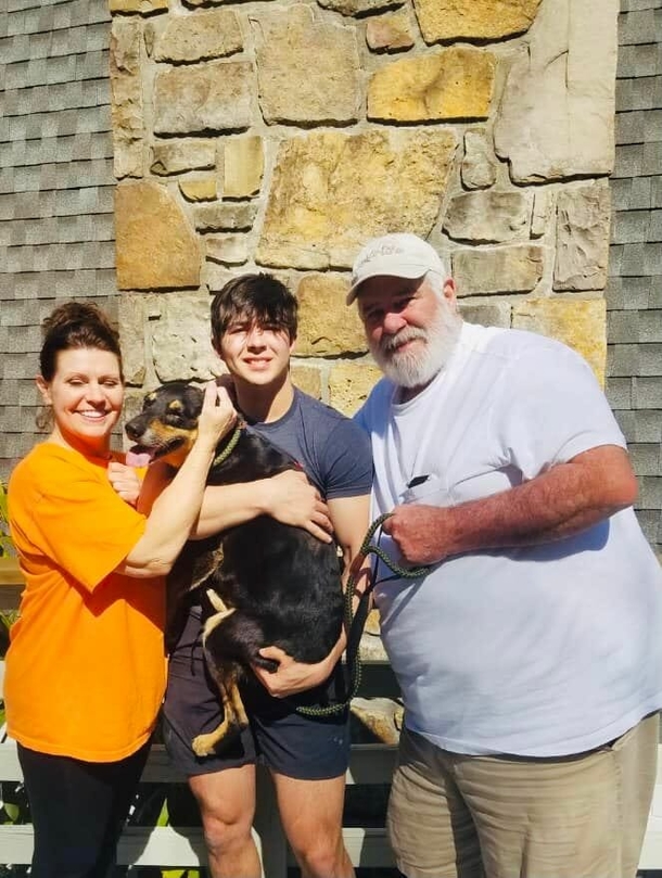 Three-legged dog who disappeared in a different state finally home after 6 months of searching - picture 6