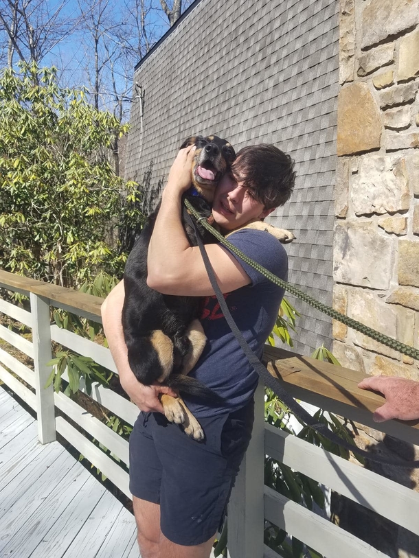 Three-legged dog who vanished in a different state is finally home after 6 months of searching - picture 5