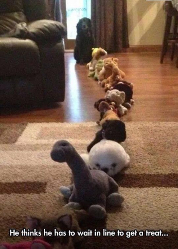 Time For Some Tuesday Funnies! Check Out These 10 Funny Pictures And Memes - picture 4