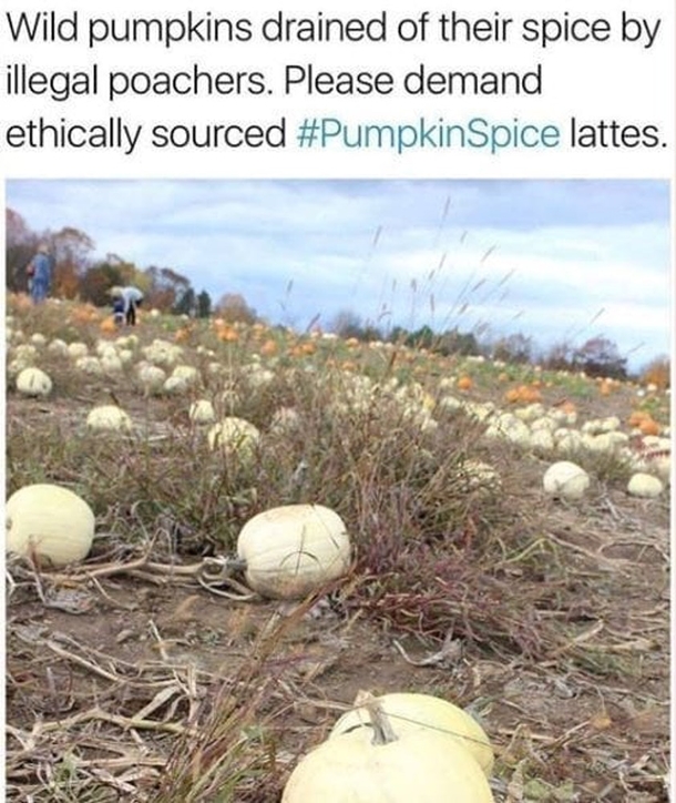 Time To Check Out Some Of The Best & Funny Fall Memes For 2021 (10 Memes) - picture 4