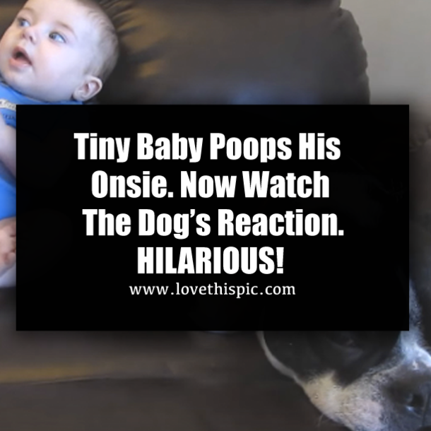 Tiny Baby Poops His Onsie. Now Watch The Dog’s Reaction. HILARIOUS!