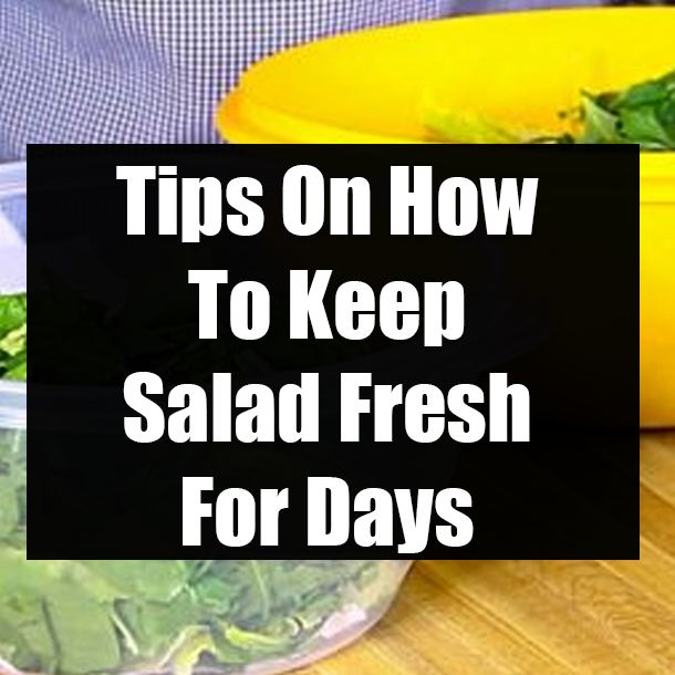 Tips On How To Keep Salad Fresh For Days
