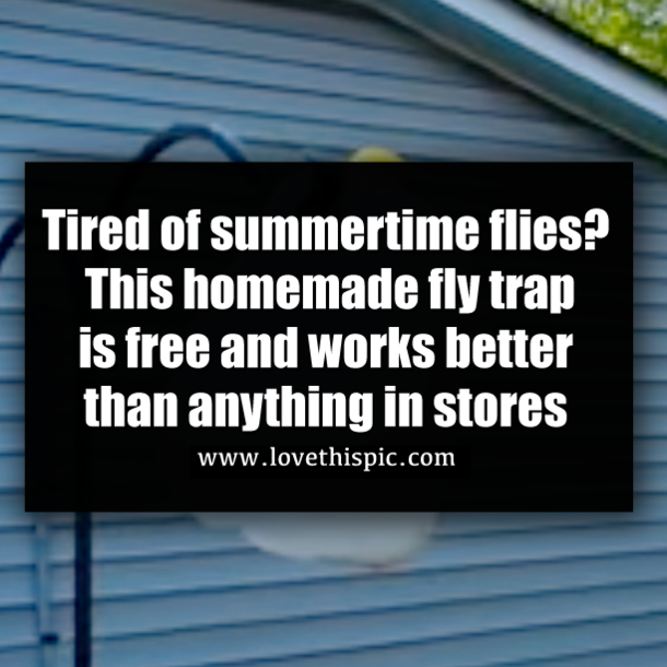 Tired of summertime flies? This homemade fly trap is free and works better than anything in stores