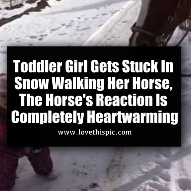Toddler Girl Gets Stuck In Snow Walking Her Horse, The Horse's Reaction Is Completely Heartwarming