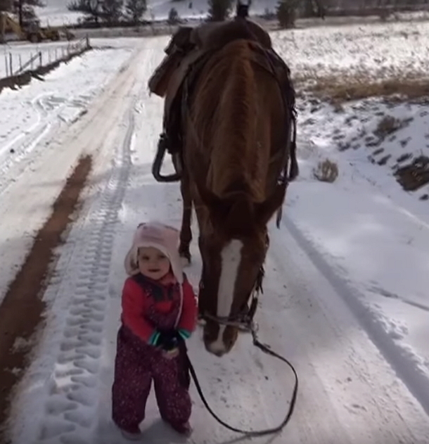 Toddler Girl Gets Stuck In Snow Walking Her Horse, The Horse's Reaction Is Completely Heartwarming - picture 2