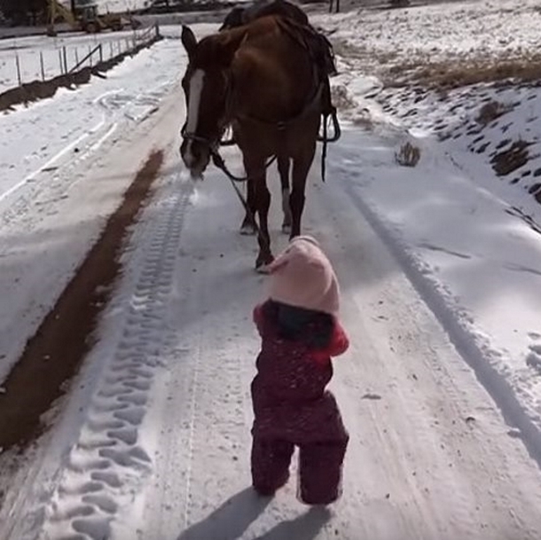 Toddler Girl Gets Stuck In Snow Walking Her Horse, The Horse's Reaction Is Completely Heartwarming - picture 4