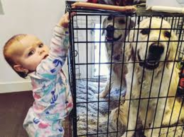 Toddler Vanished From Her Crib. Mom Didn't Know What Happened, Then She Sees The Camera Footage - picture 3