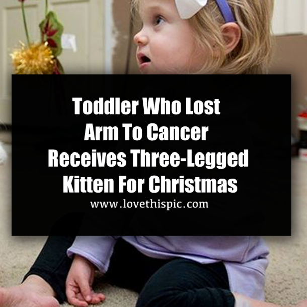 Toddler Who Lost Arm To Cancer Receives Three-Legged Kitten For Christmas