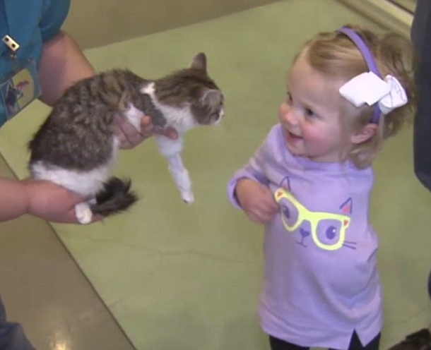 Toddler Who Lost Arm To Cancer Receives Three-Legged Kitten For Christmas - picture 2