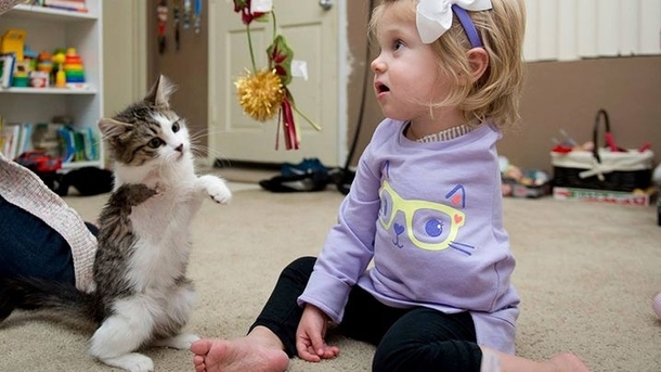 Toddler Who Lost Arm To Cancer Receives Three-Legged Kitten For Christmas - picture 3