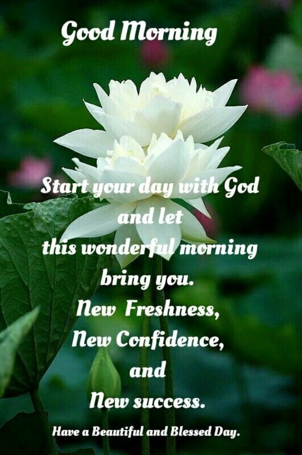 Top 10 Beautiful Good Morning Quotes To Make Your Day Blessed - picture 11