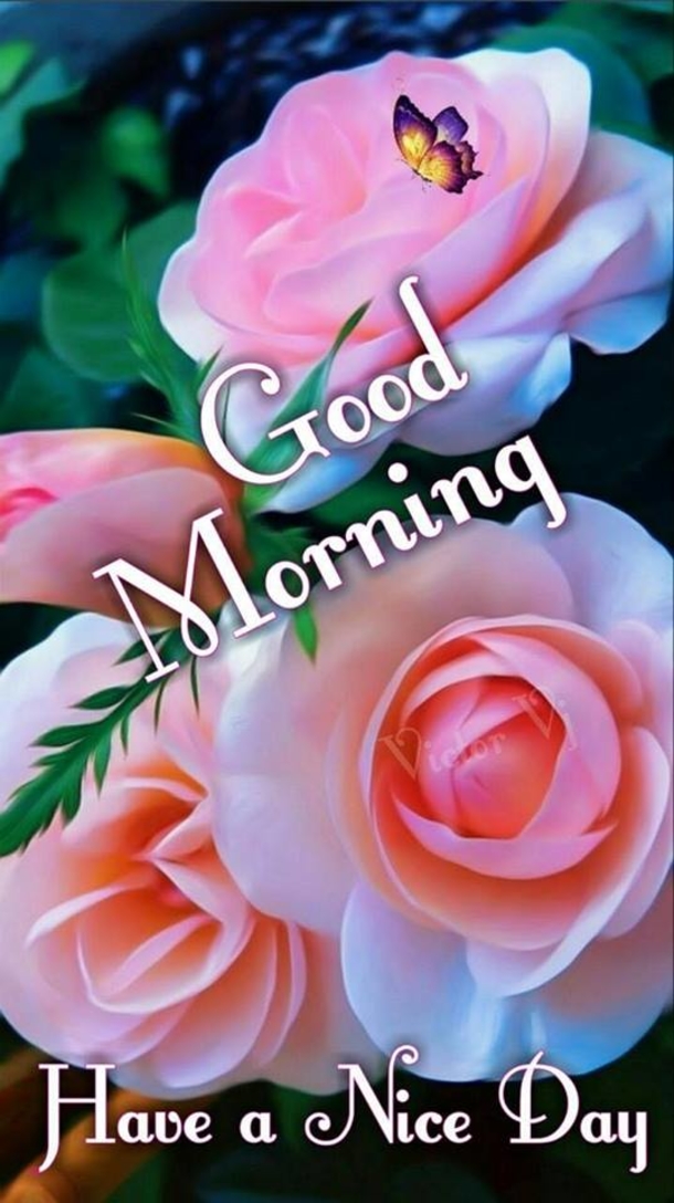 Top 10 Beautiful Good Morning Quotes To Make Your Day Blessed - picture 6