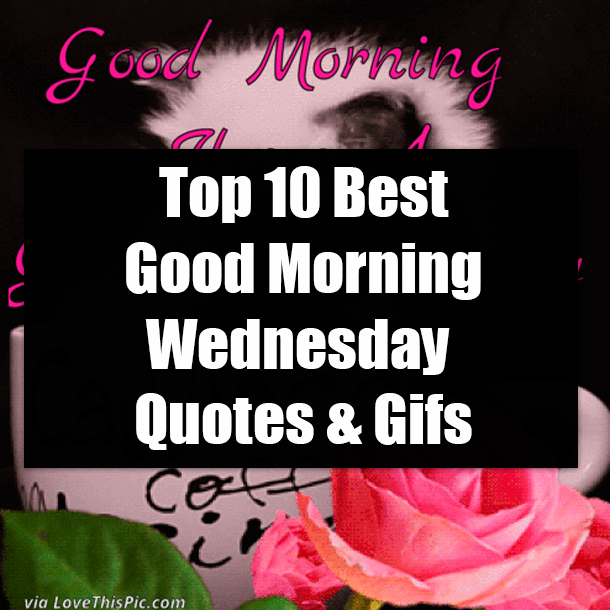 Top 10 Best Good Morning Wednesday Quotes & Gifs