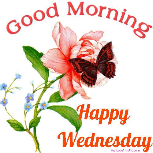 Top 10 Best Good Morning Wednesday Quotes & Gifs - picture 6
