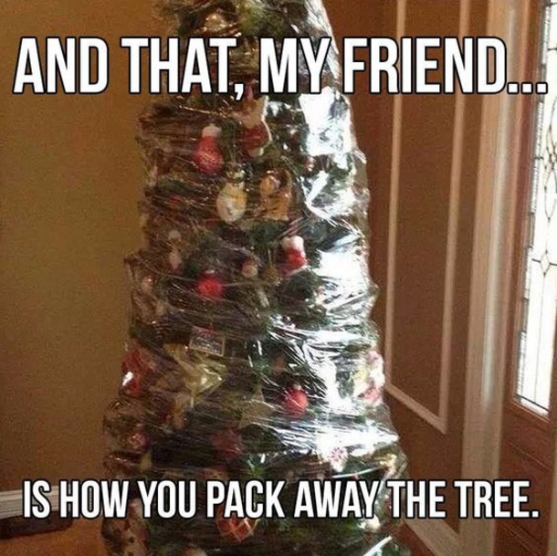 Top 10 Christmas Memes Of The Day - picture 4