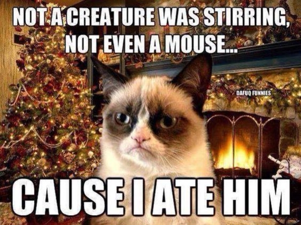 Top 10 Christmas Memes Of The Day - picture 5