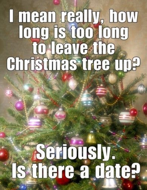 Top 10 Christmas Memes Of The Day - picture 9