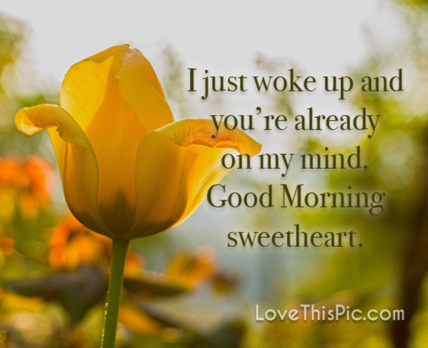 Top 10 Daily Good Morning Quotes With Inspiration - picture 13