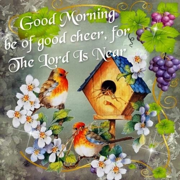 Top 10 Daily Happy Good Morning Images - picture 8