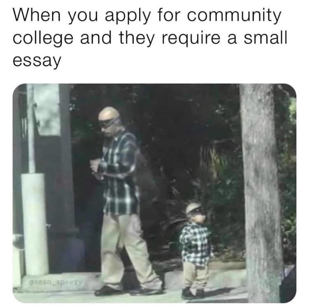Top 10 Funny Memes Of The Day - picture 12