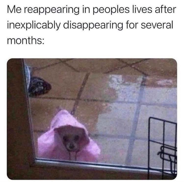 Top 10 Funny Memes Of The Day - picture 7