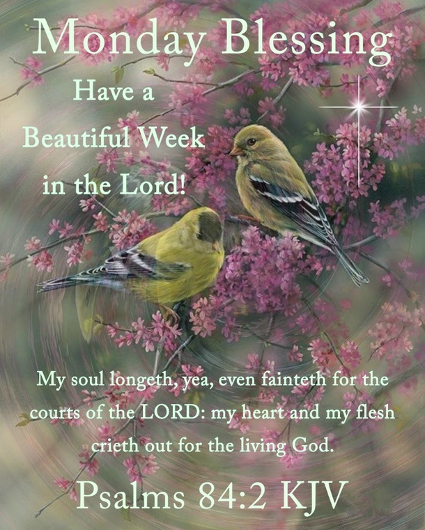 Top 10 Good Morning Monday Quotes To Bless Your Week! - picture 11