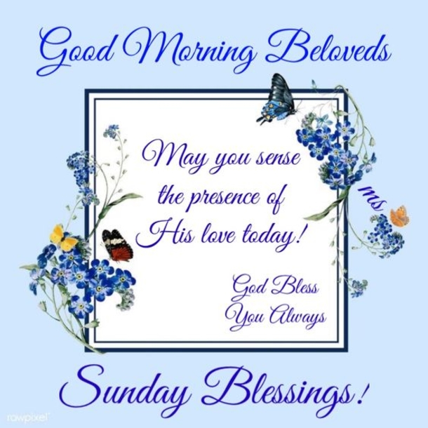 Top 10 Good Morning Quotes Images For Sunday - picture 11