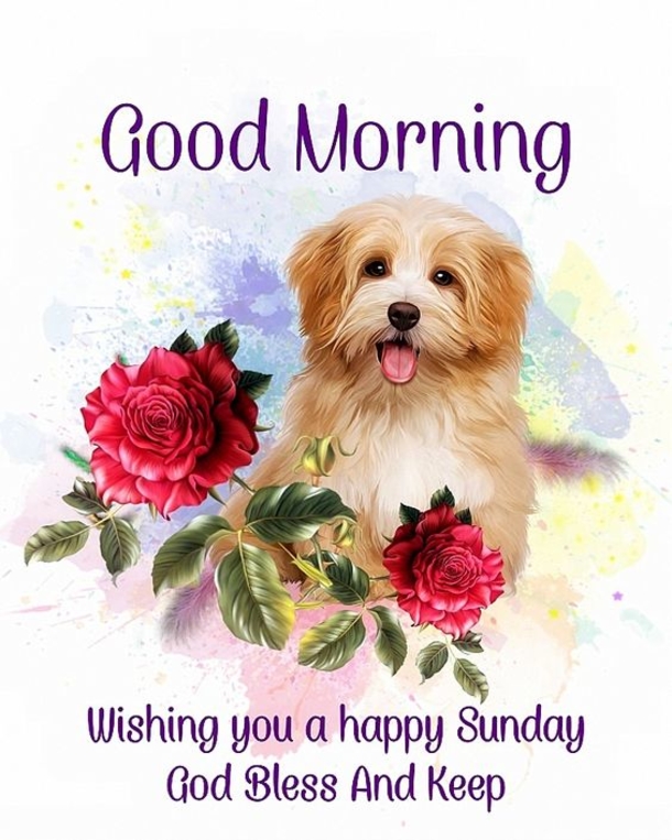 Top 10 Good Morning Quotes Images For Sunday - picture 4