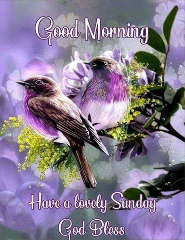 Top 10 Good Morning Quotes Images For Sunday - picture 5
