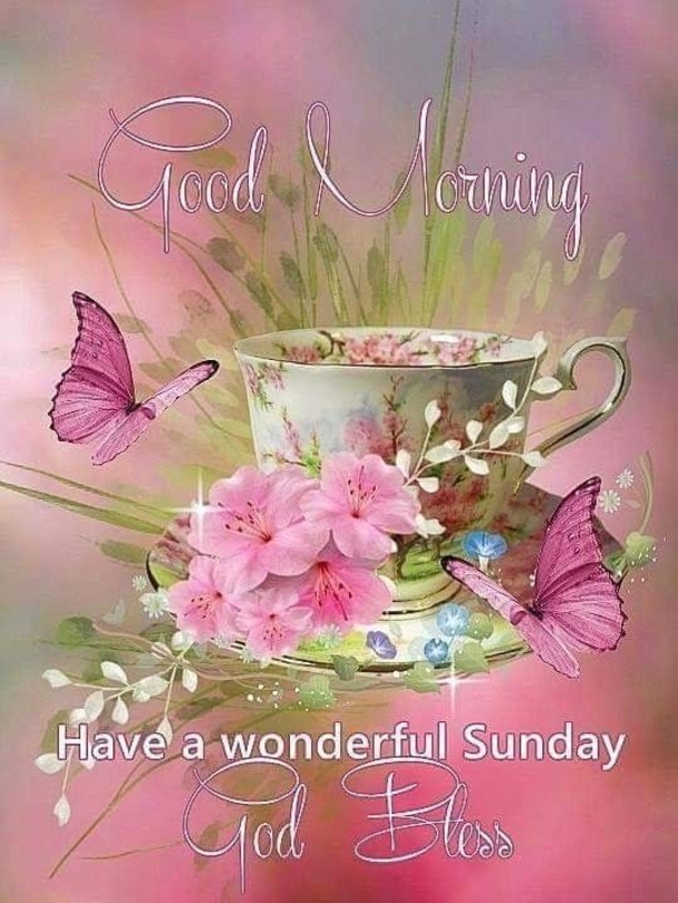 Top 10 Good Morning Quotes Images For Sunday - picture 6