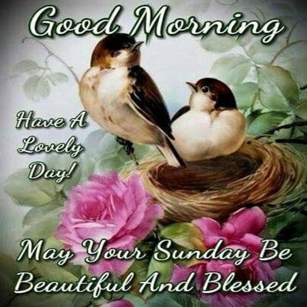 Top 10 Good Morning Quotes Images For Sunday - picture 8