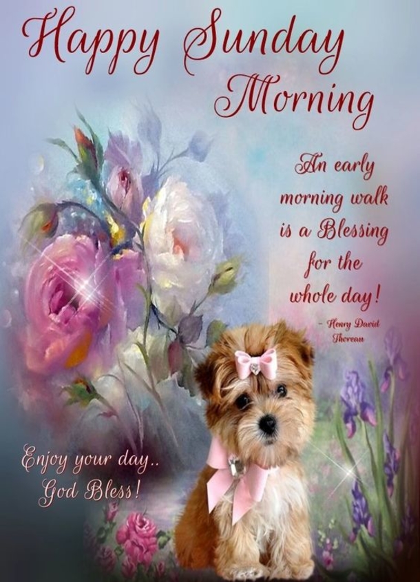 Top 10 Good Morning Quotes Images For Sunday - picture 9