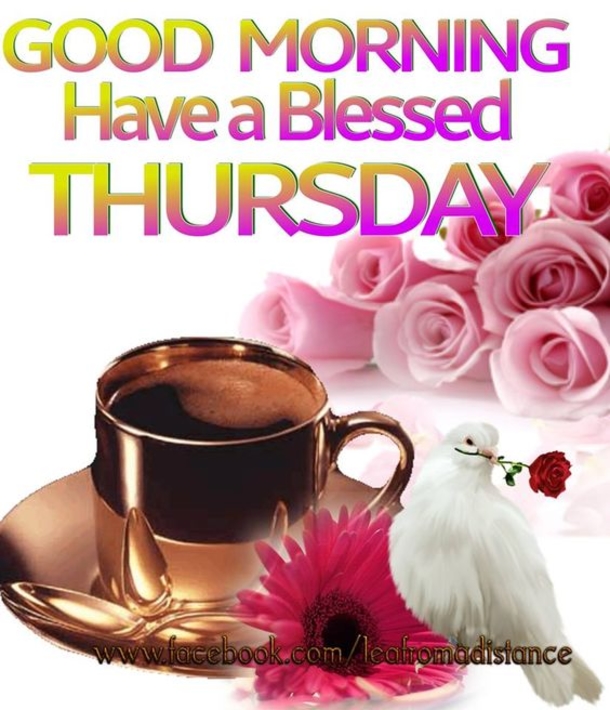 Top 10 Good Morning Thursday Images - picture 7