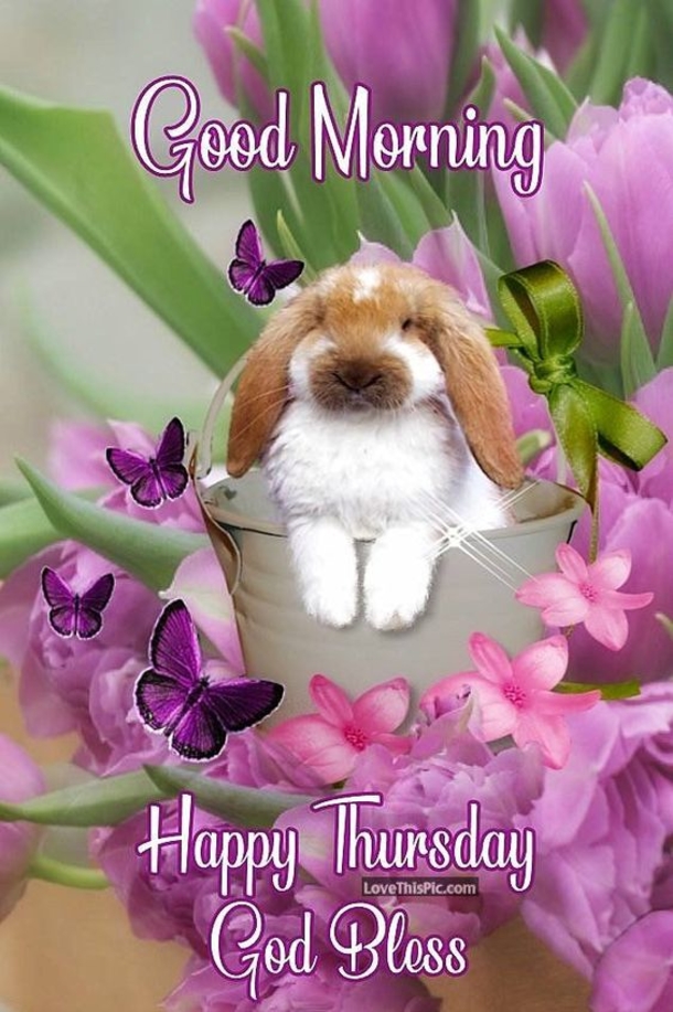 Top 10 Good Morning Thursday Images - picture 8