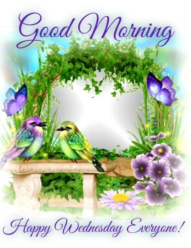 Top 10 Good Morning Wednesday Images - picture 11