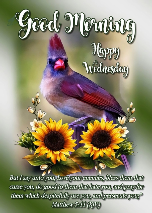 Top 10 Good Morning Wednesday Images - picture 3