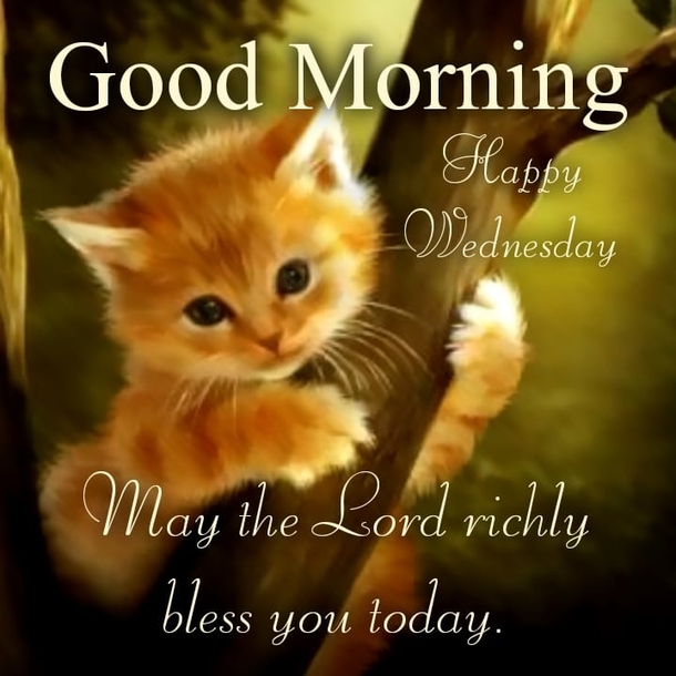 Top 10 Good Morning Wednesday Images - picture 4
