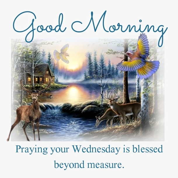 Top 10 Good Morning Wednesday Images - picture 7