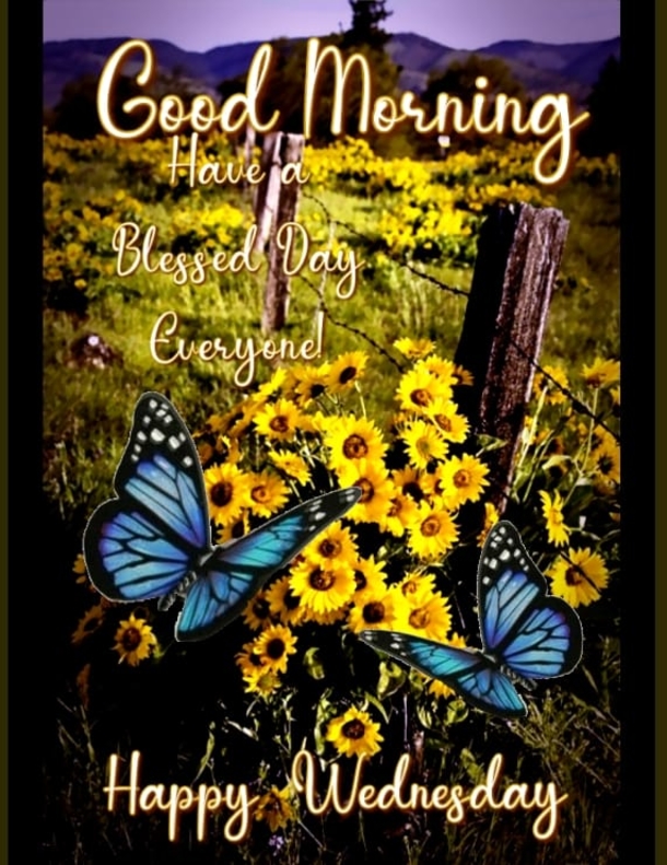 Top 10 Good Morning Wednesday Images - picture 9
