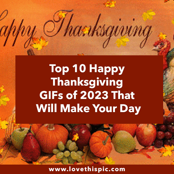 Top 10 Happy Thanksgiving GIFs of 2023 That Will Make Your Day