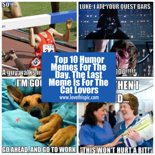 Top 10 Humor Memes For The Day. The Last Meme Is For The Cat Lovers